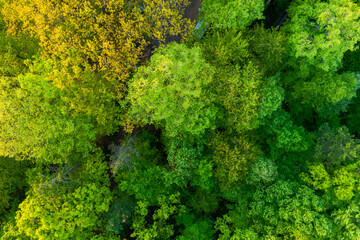 Naklejka premium Beautiful Bilogora in sunset near village Maglenca