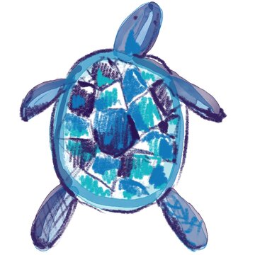 Turtle hand painted illustration for your design 