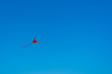 Naklejka na ściany i meble volar una mariposa con forma de cometa en el cielo azul de la playa en el mar de oropesa españa