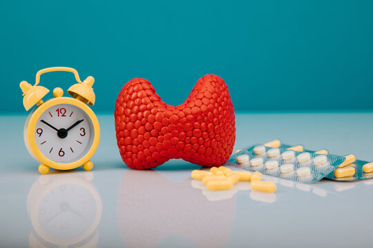Early thyroid treatment picture concept. Red gland and alarm clock with medicines