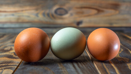 Llight blue and brown eggs. Easter Festival concepts. Araucana egg and the egg of an ordinary...