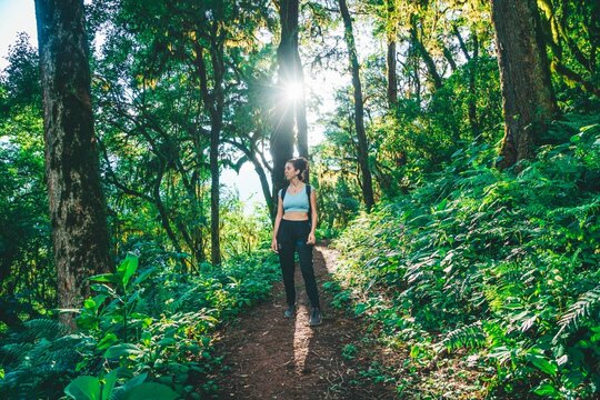 Pasisajes de yunga y selva