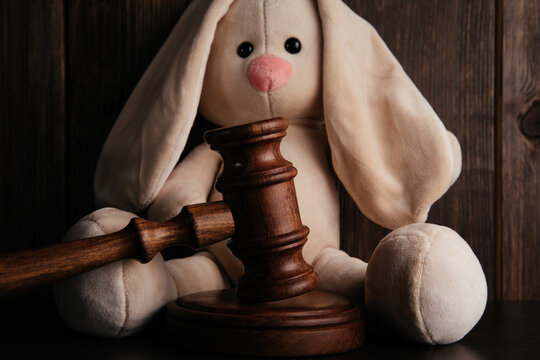 Wooden gavel close-up and plush bunny. Child protection concept