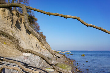 The cliff coast "Brodtener Steilufer" at the Baltic sea. The Coastal cliff is located at the Lübeck bay between Travemünde and Niendorf.