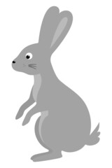 Rabbit. The hare stands on its hind legs. Gray rodent. Animal with long ears and cute big eyes. Color vector illustration. Flat style. Isolated background. Happy Easter. Idea for web design, banner