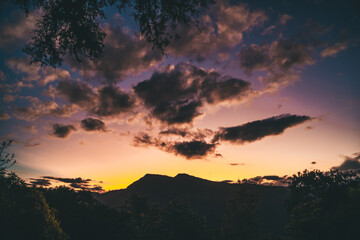 Fototapeta premium Selva y Yungas