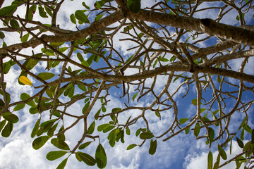 バリでアジアンリゾート満喫