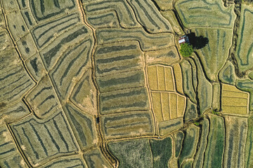 Obraz premium Aerial view of Mae La Noi rice terraces in Mae Hong Son, Thailand