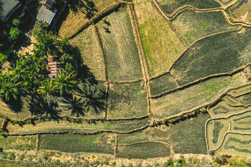 Aerial view of Mae La Noi rice terraces in Mae Hong Son, Thailand