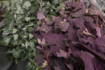 green and purple leaves at a farmers market