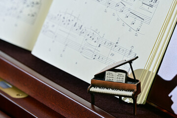 Fototapeta premium グランドピアノイメージ ベーゼンドルファー背景 【室内スタジオ撮影】