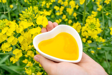 Hand holding a dish of golden rapeseed oil - obrazy, fototapety, plakaty
