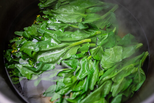Boiled Cabbage Moss for Dried Vegetables