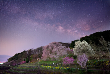 春に浮かび上がる天の川