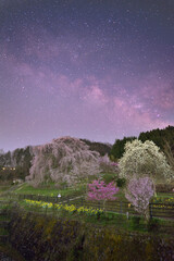春に浮かび上がる天の川