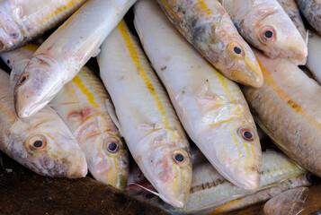 Fresh Parapercis in the market, Red Sea fish