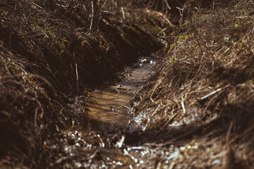 Small man made rivulet inside of a forest