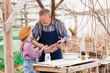 grandfather and granddaughter remove grilled meat, kebab from the grill grate