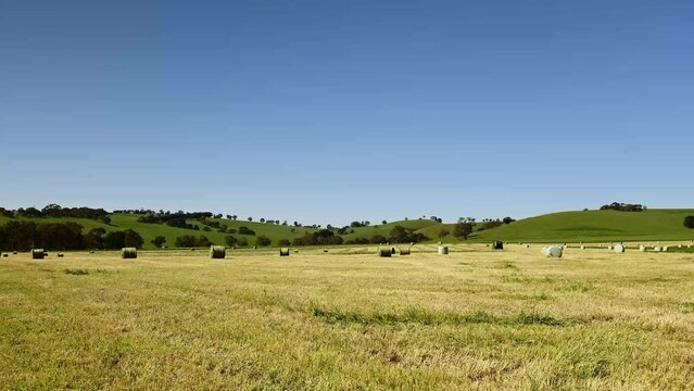 timelapse of making silage and hay on a farm in tasmania, Australia.