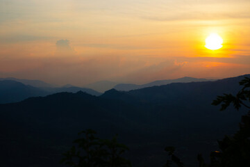 Sol dorado selva Peruana