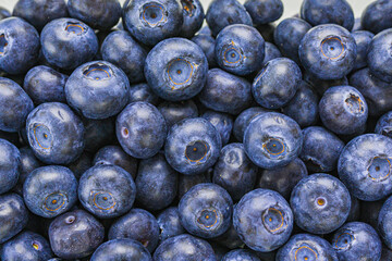 Big wild berry blueberry close-up