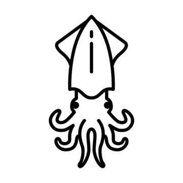 Squid Icon Vector design Template.