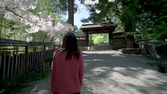 Young Woman Walking in Japanese Garden with Cherry Blossoms in Slow Motion