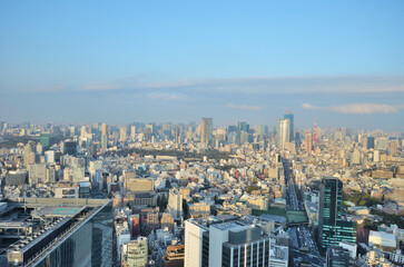 Obraz premium 東京都渋谷スカイの夕景