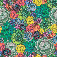 Seamless background of colored succulents and cacti. Artwork handmade.