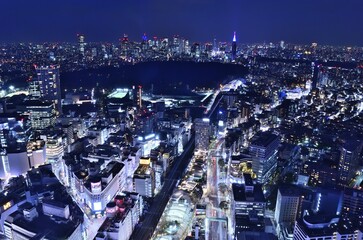 東京都渋谷スカイから見る渋谷と新宿ビル群の夜景