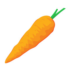 Carrot isolated on white background. Vector illustration of vegetable.