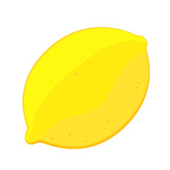 Lemon isolated on white background. Vector illustration of vegetable.