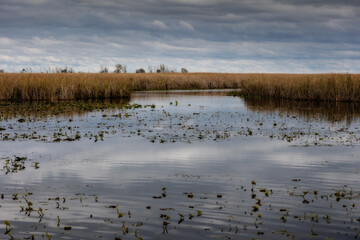 Stunning sky and landscape shot Point Pelee, Ontario, Canada