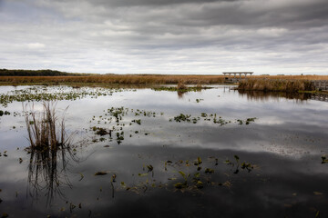 Stunning sky and landscape shot Point Pelee, Ontario, Canada