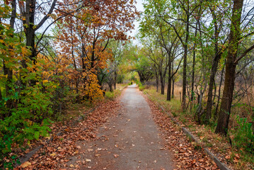 path in autumn park