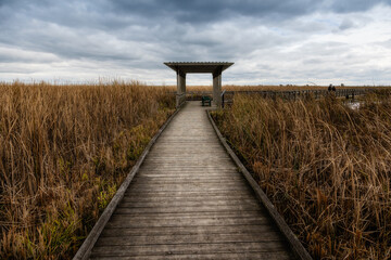 Beautiful view of of the marsh and boardwalk in Point Pelee