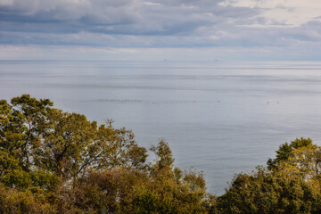 Point Pelee National Park Canada Ontario
