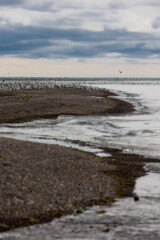 Point Pelee National Park Canada Ontario
