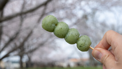 桜の花と草だんご・ヨモギだんご｜お花見のイメージ&rdquo;Mugwort Dumplings&rdquo;
