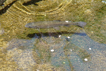 It’s getting warmer