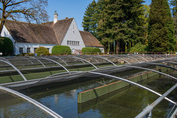 Bonneville Dam fish hatchery pods landscape Oregon.