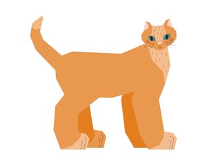 Red kitten. A cat standing sideways with his head turned. A disproportionate pet with a larger body and a small head. Vector illustration in a flat style.