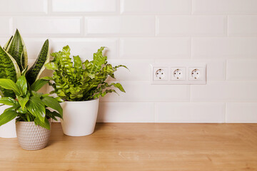 mockup with home green plants and empty white wall with electric sockets on it