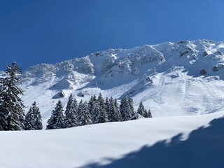 Fairytale alpine winter atmosphere and snow-covered coniferous trees on the mountain peak Neuenalpspitz (1817 m), Nesslau - Obertoggenburg region, Switzerland (Schweiz)