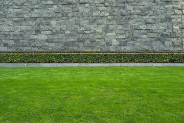 green grass and hedge with brick wall background