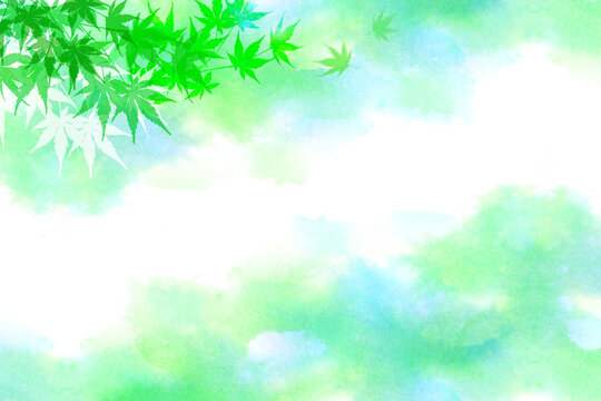 風に舞い上がる若葉 カエデ（水彩タッチの背景） © imagefuji