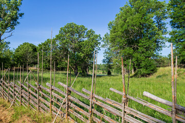 Fototapeta premium View of lush meadow and trees behind an old wooden fence in Åland Islands, Finland, on a sunny day in the summer.