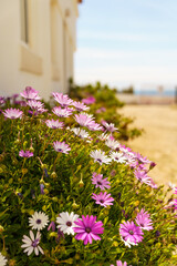 Beauty of Natrue