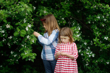 Cute sibling sister girls with a headband with a bow are studying the leaves of the bush, children are interested and learn about the world around them