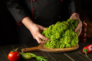 Chef prepares a diet salad or meal from Lettuce. Green leaves in the hands of the cook in the kitchen. Vegetarian cuisine.